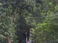 Tn DSC 4283